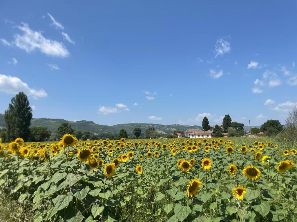 Splendida Dimora Del 1600 Villa Gubbio Dış mekan fotoğraf